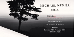 Inaugura Trees, la mostra di Michael Kenna